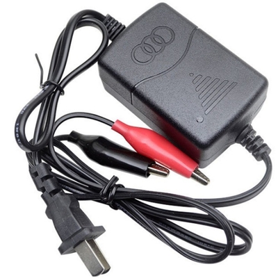 Caricabatterie plug-in da AC100-240V a 12V per batterie al piombo