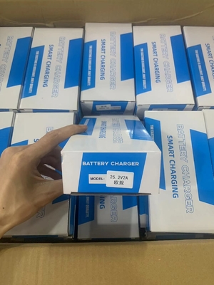 Potente e conveniente caricabatterie ad adattatore da 25,2 V a 2 A per batterie al litio a potenza C